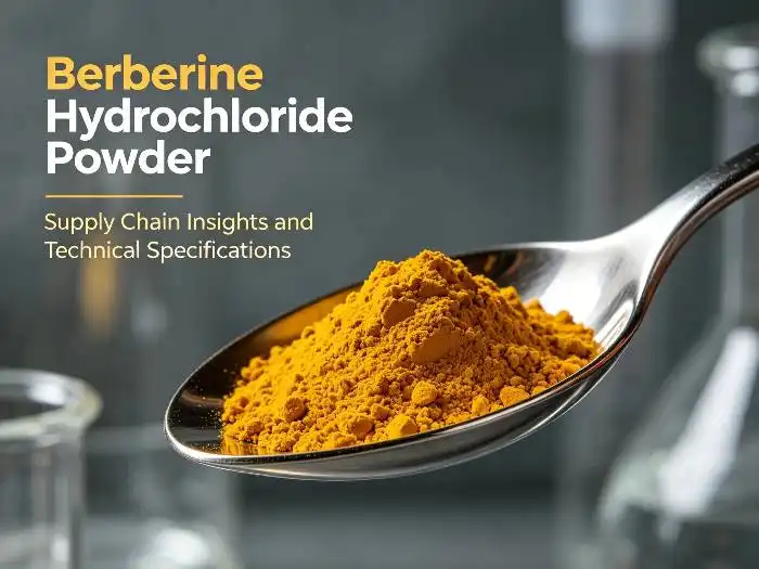 How Do Buyers Evaluate Berberine Hydrochloride Powder Suppliers?